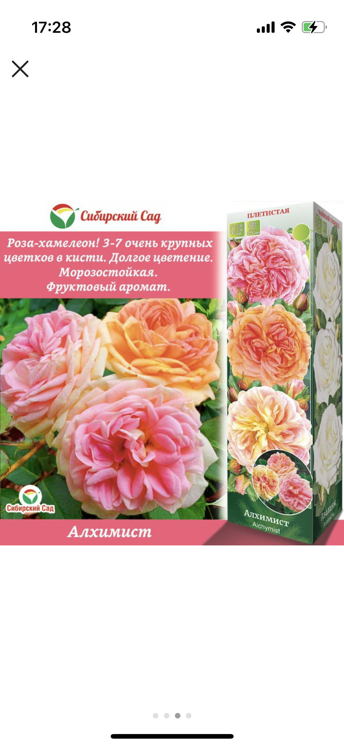 Ответ на пост «Розы из Леруа Мерлен, ожидание и реальность»