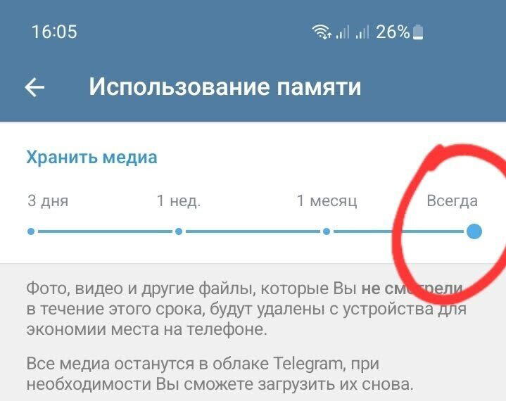 Проверьте эту настройку в приложении Telegram и очистите память телефона