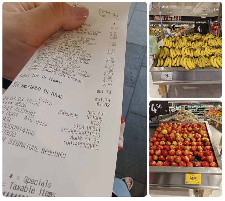 Для понимания: яблоки 4.5 AUD (280 руб), бананы 4 AUD (250 руб). Один поход в супермаркет на день 61.79 AUD (3 844 руб).