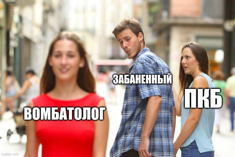 При всём богатстве выбора...