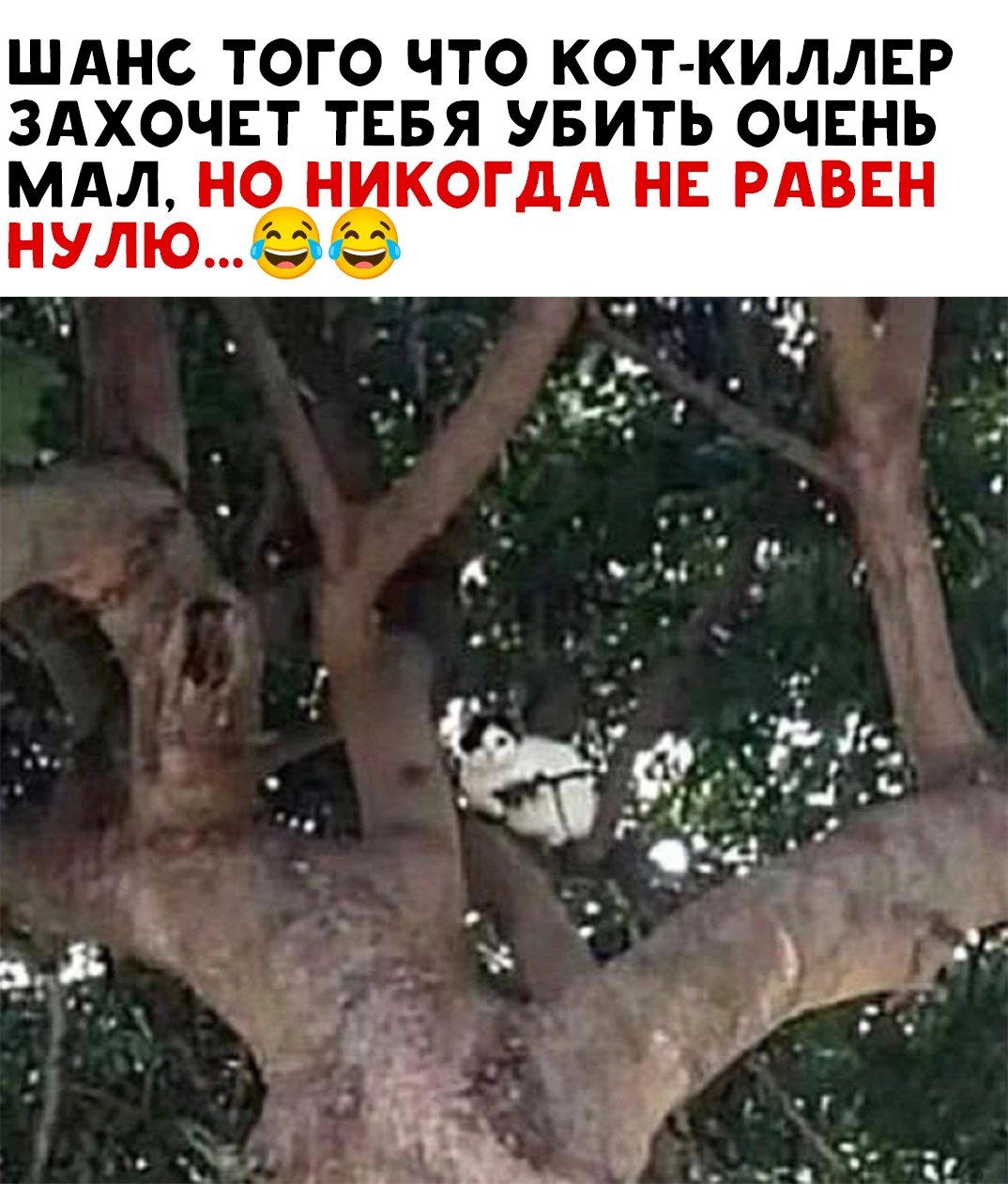 Кто знает тип винтовки?