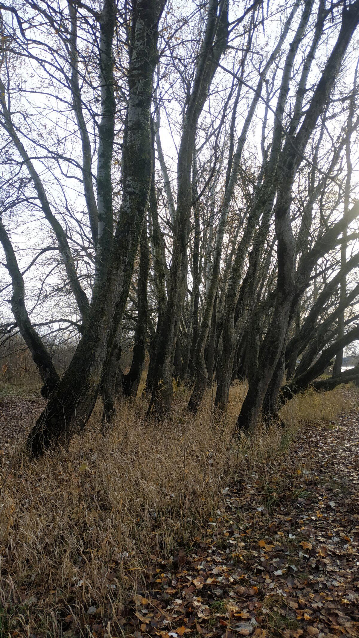 Осень на Кубани