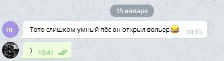 Как я собаку в хорошие руки отдавал