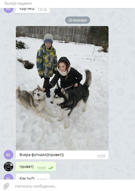 Как я собаку в хорошие руки отдавал