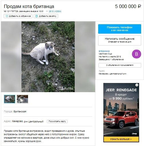 Продам кота в хорошие руки. Цена 5 000 000 рублей