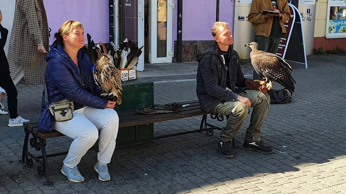 Очень добрые лица. Ищу людей с птицами на фотографии