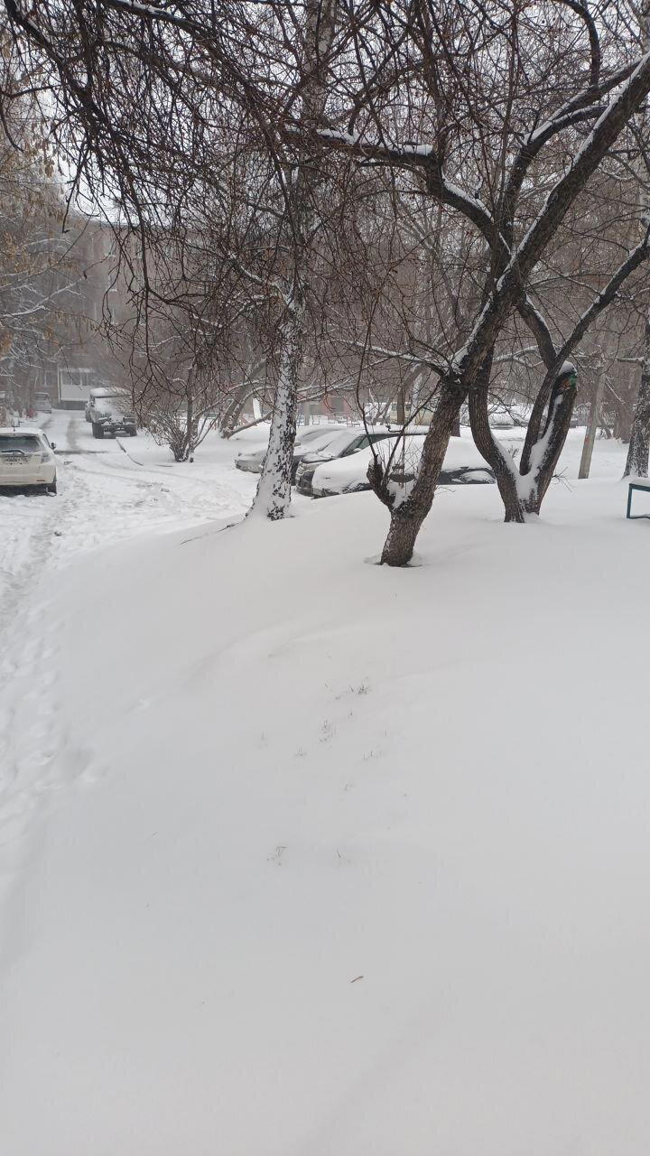 Весна, ты там вообще нормально?