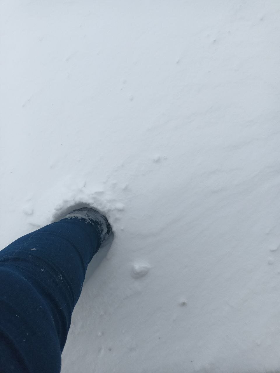 Весна, ты там вообще нормально?