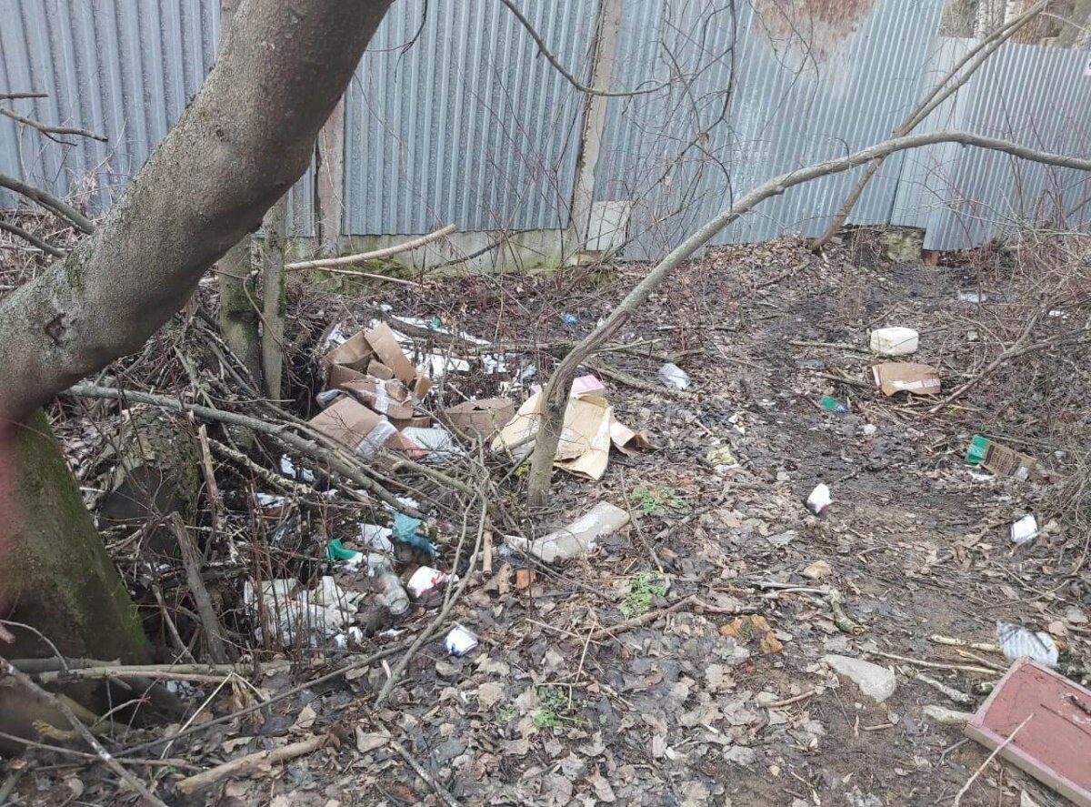 Вдохновляясь чистомэном