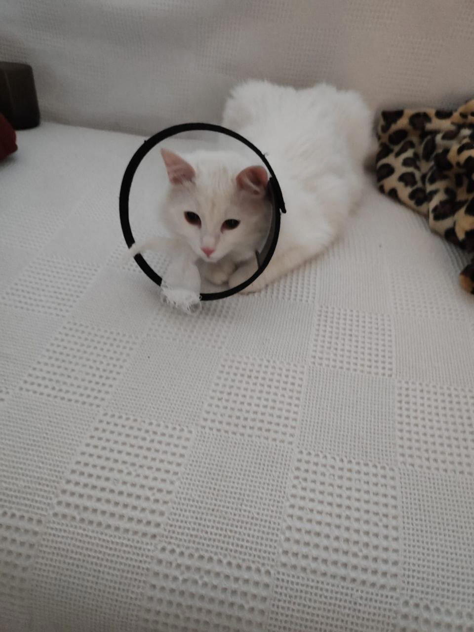 Отобрали самое ценное :(