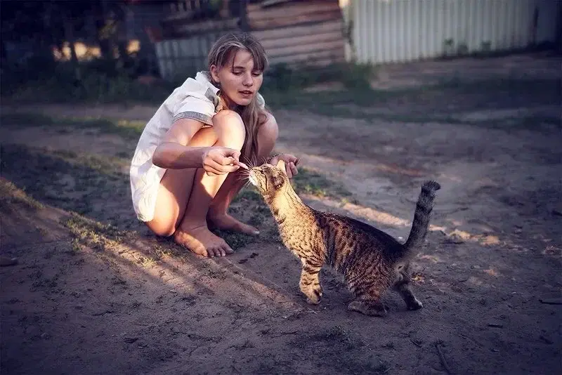 Путь из котов в жирафы