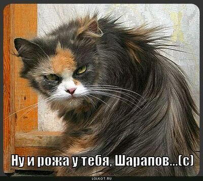 Будь мужиком