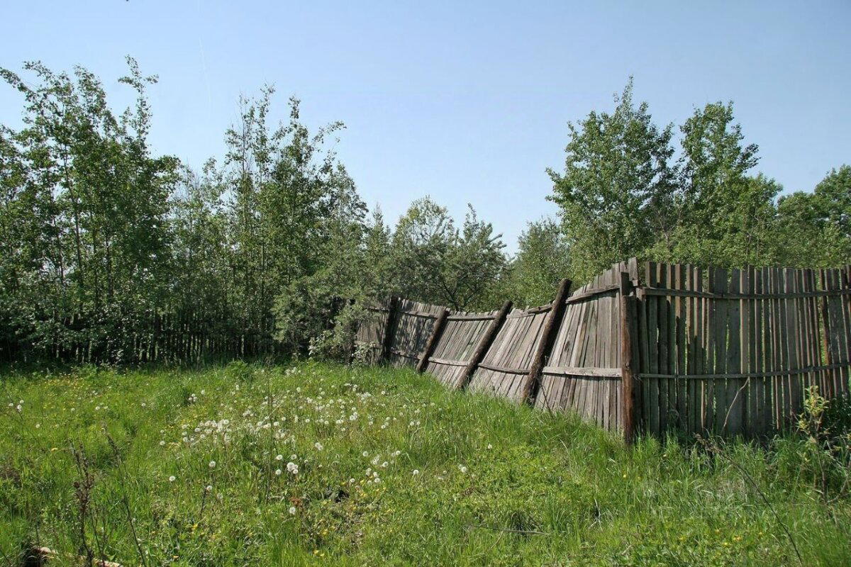 Когда земельный участок могут забрать у его владельца, если не построен дом. Заброшка...