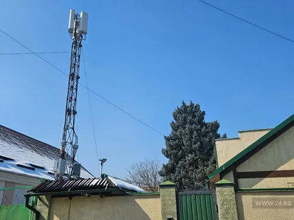 Мужчина боялся 5G и хотел через суд запретить установку сотовой вышки в СНТ