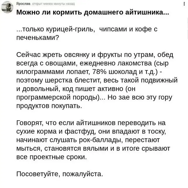 Чем кормить айтишника?