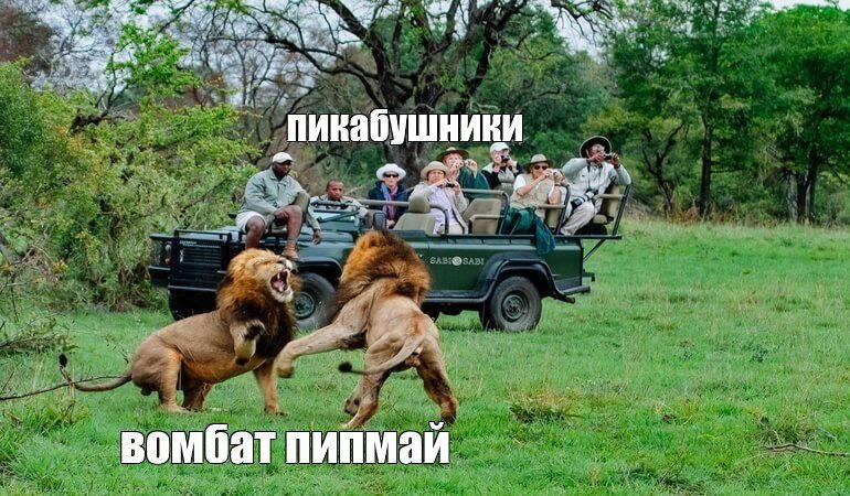 А мы... Спорим у кого чего круче и точнее соответствует метрике в 49.5, вместо того, что бы объедениться и сожрать "фотографов"...<br>