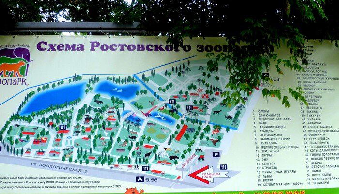 Ростовский зоопарк