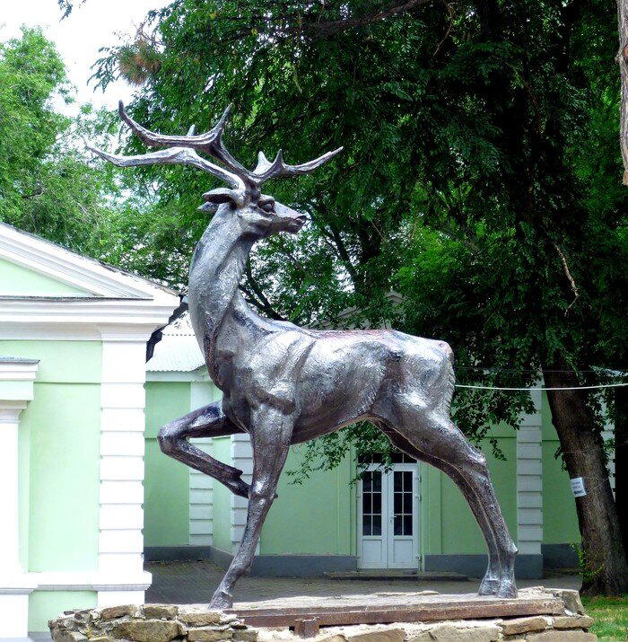 Ростовский зоопарк