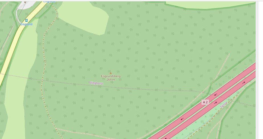 Прогулка в Тевтобургском лесу (Teutoburger Wald, Bielefeld) Германия