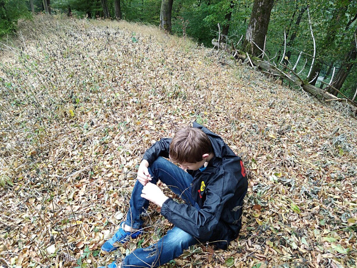 Прогулка в Тевтобургском лесу (Teutoburger Wald, Bielefeld) Германия
