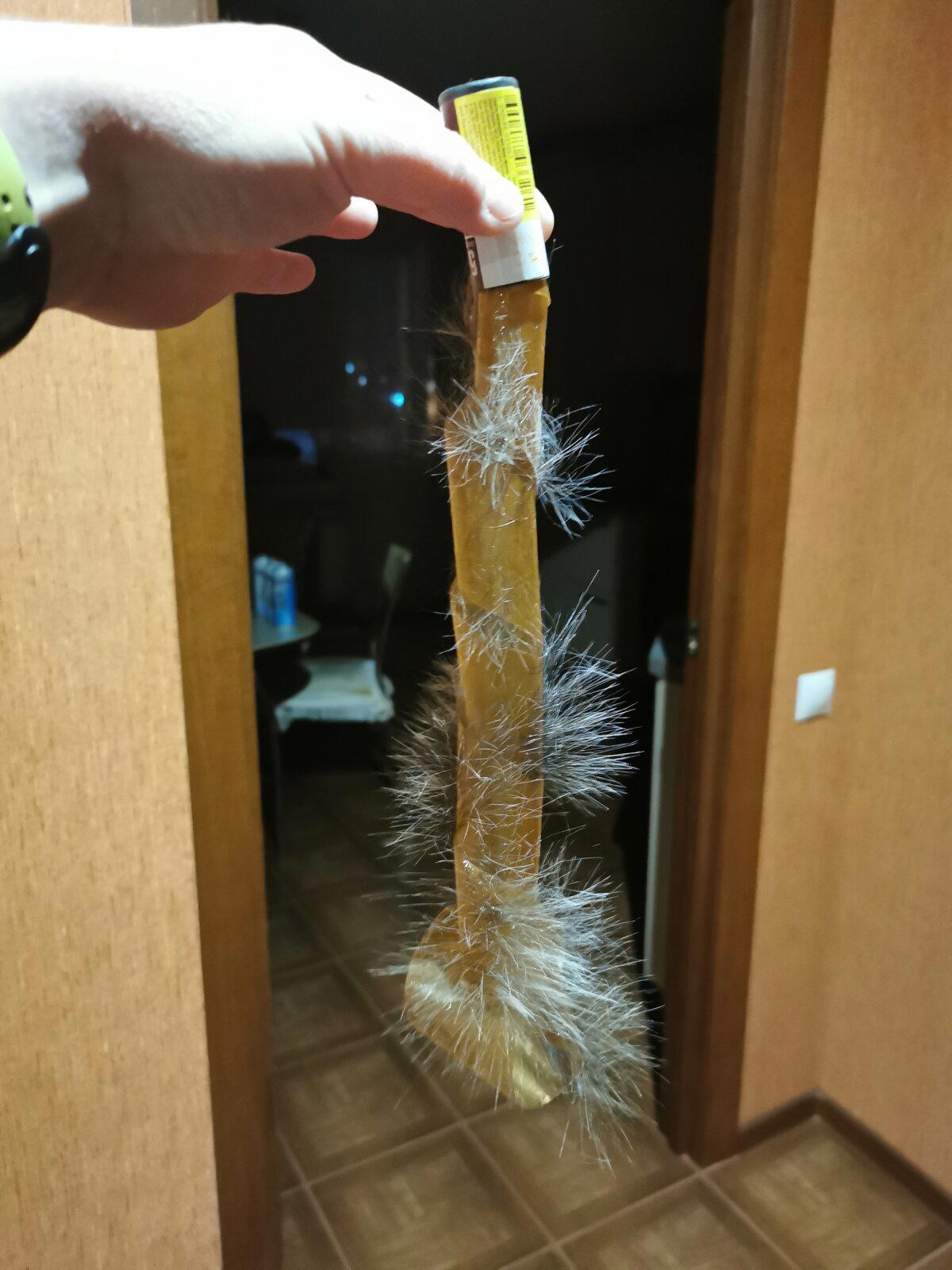 Липкая лента от вредителей