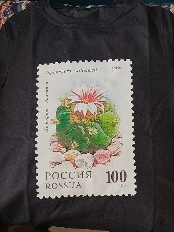 Кактусные футболки
