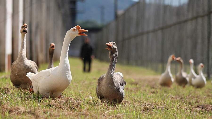 Reuters