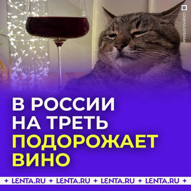В России на треть подорожает вино после Нового года