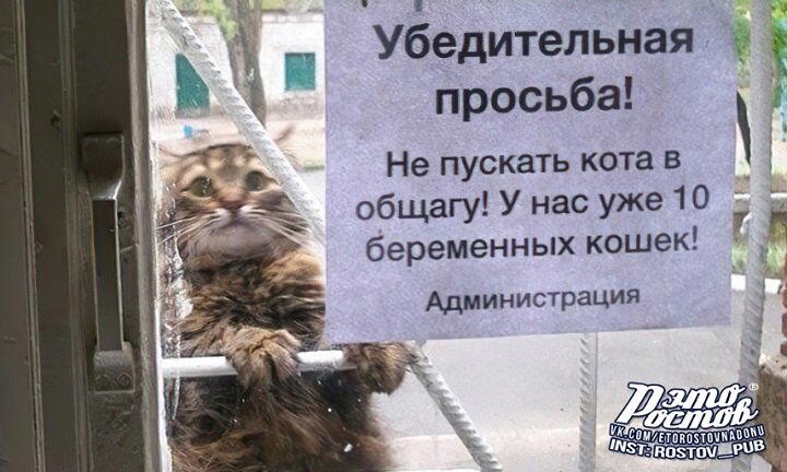 Джись