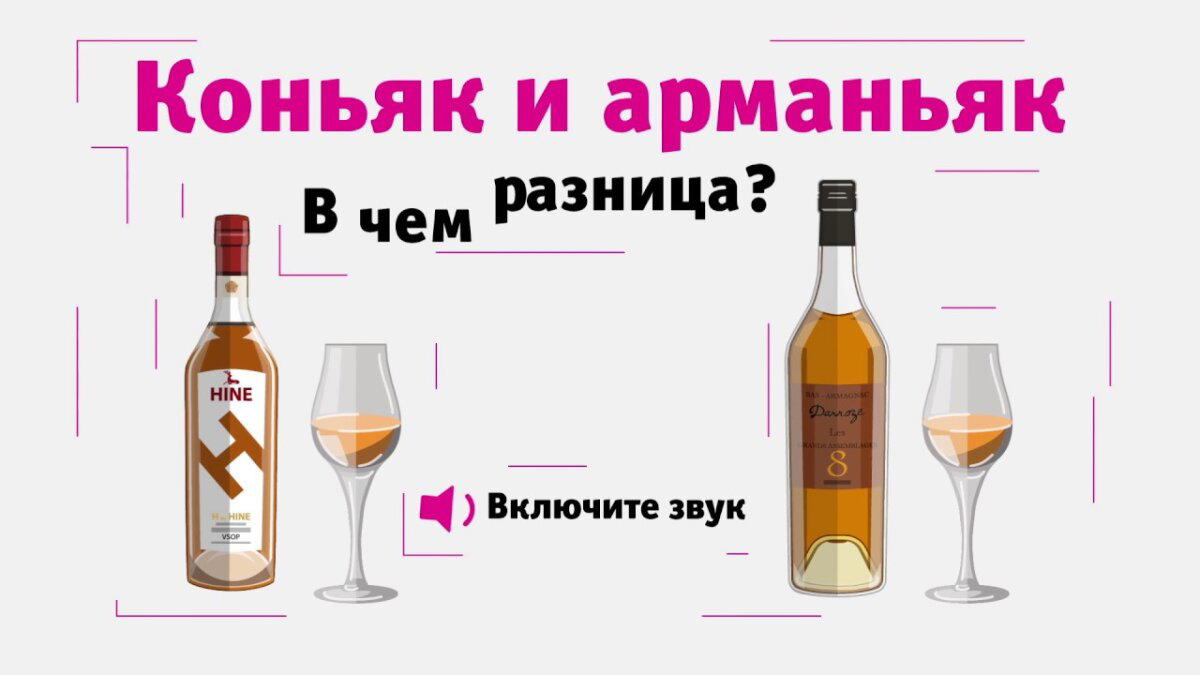 Чем отличается коньяк от арманьяка?