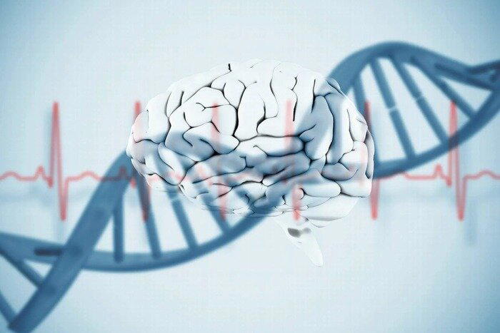 © futura-sciences.com