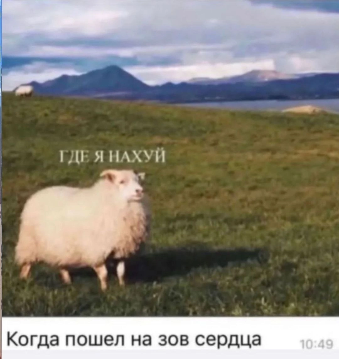 Неожиданно