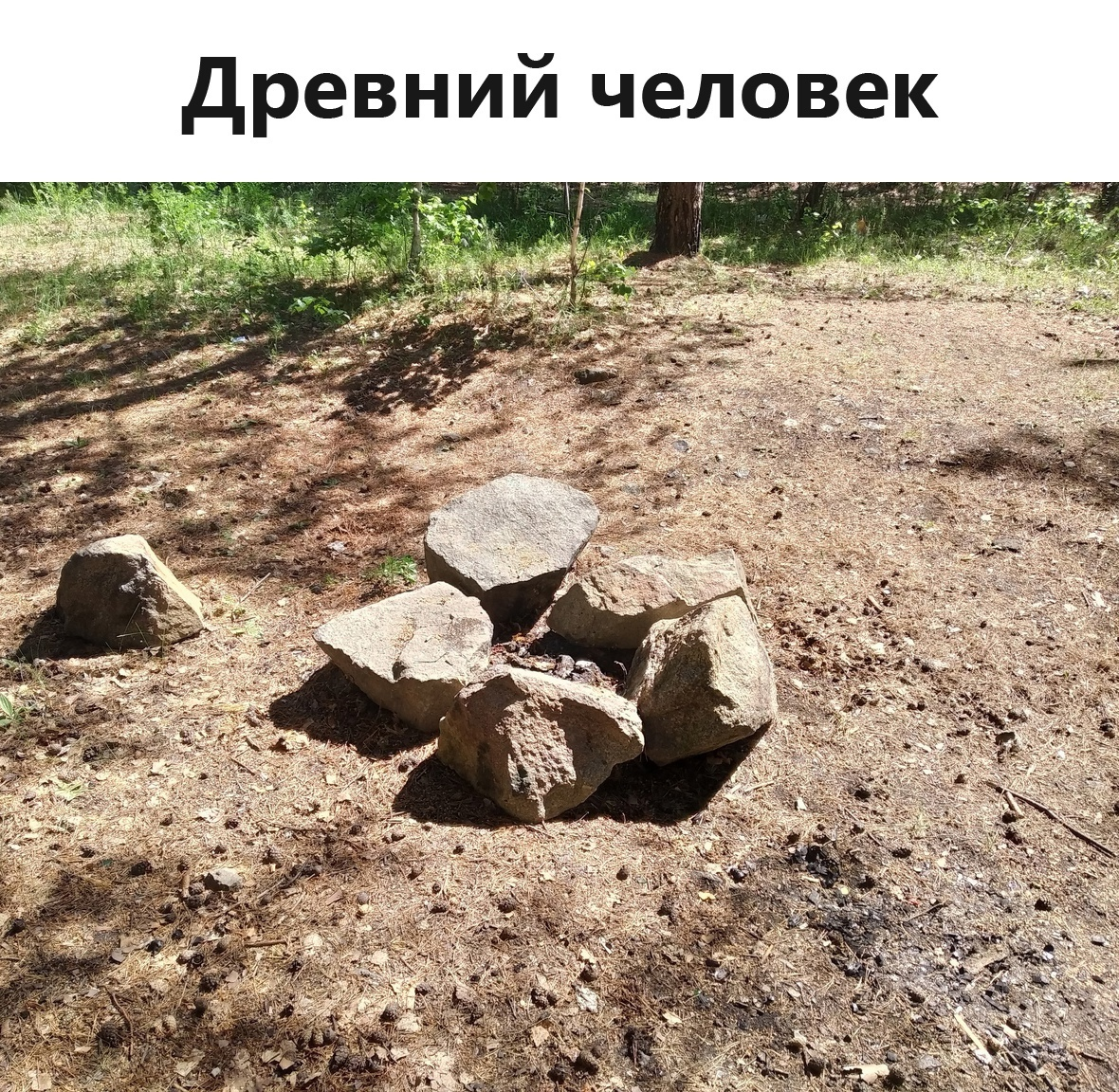 Быстрый урок истории