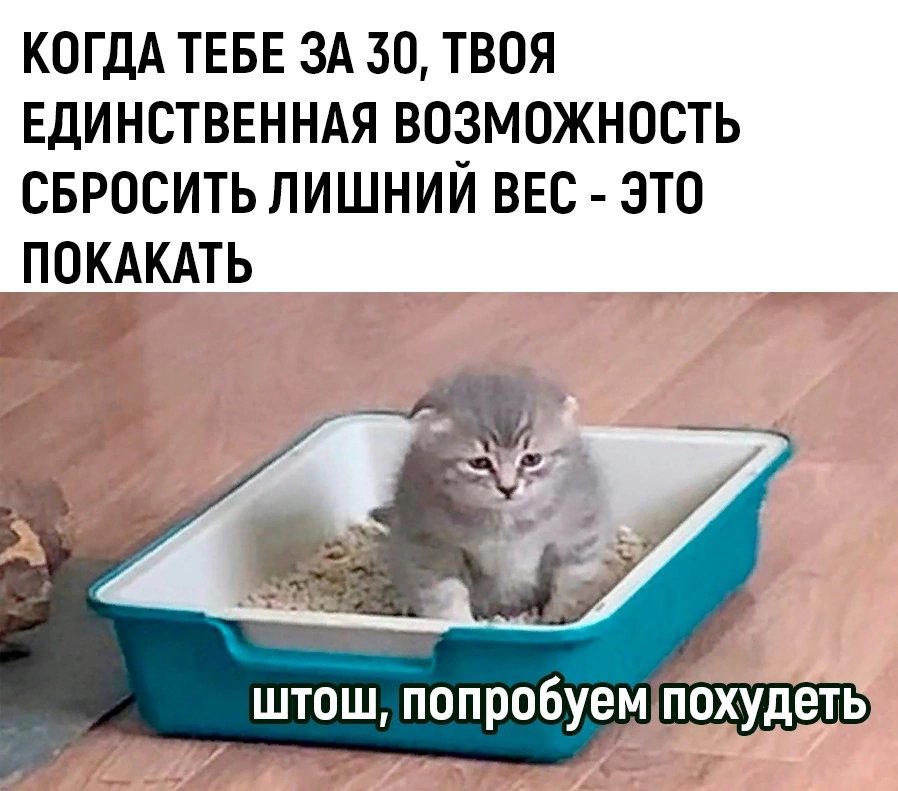 Вот и пролетела неделька