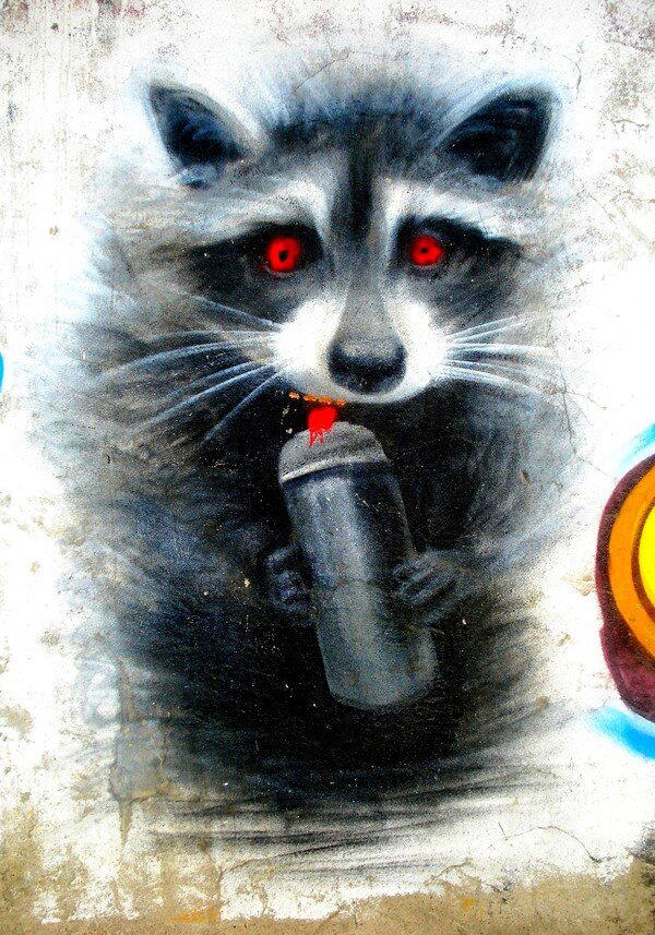 В мире животных