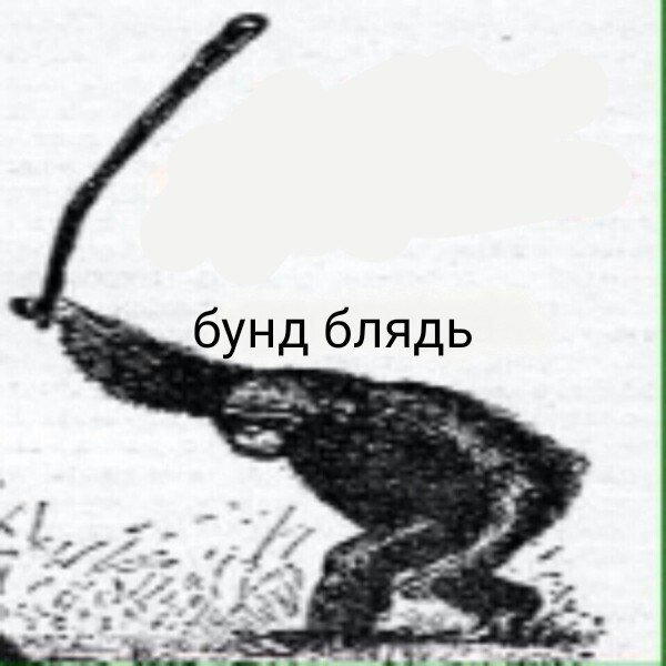 Упарываемся безумием. Во имя науки!