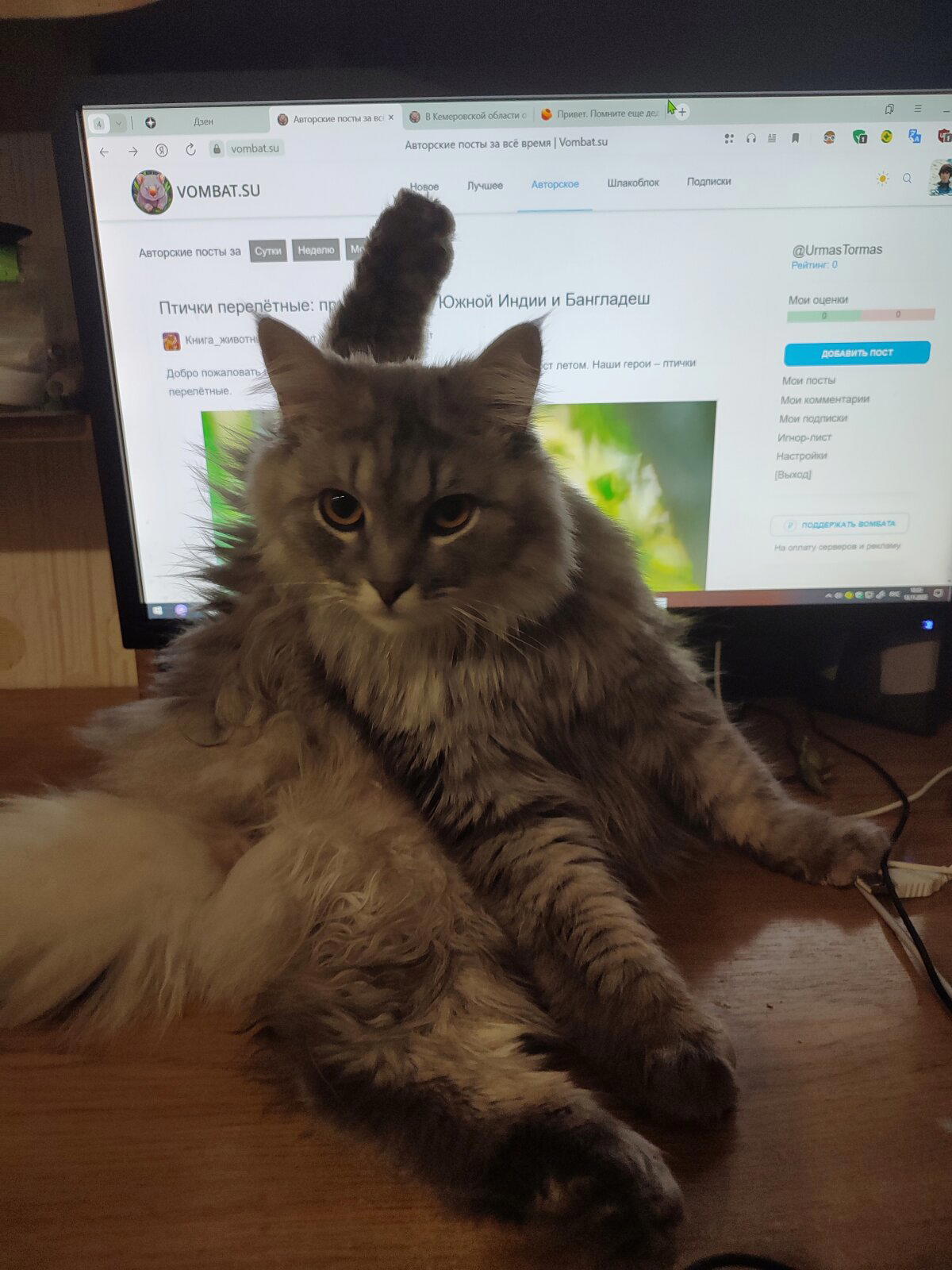 Всем хоба!