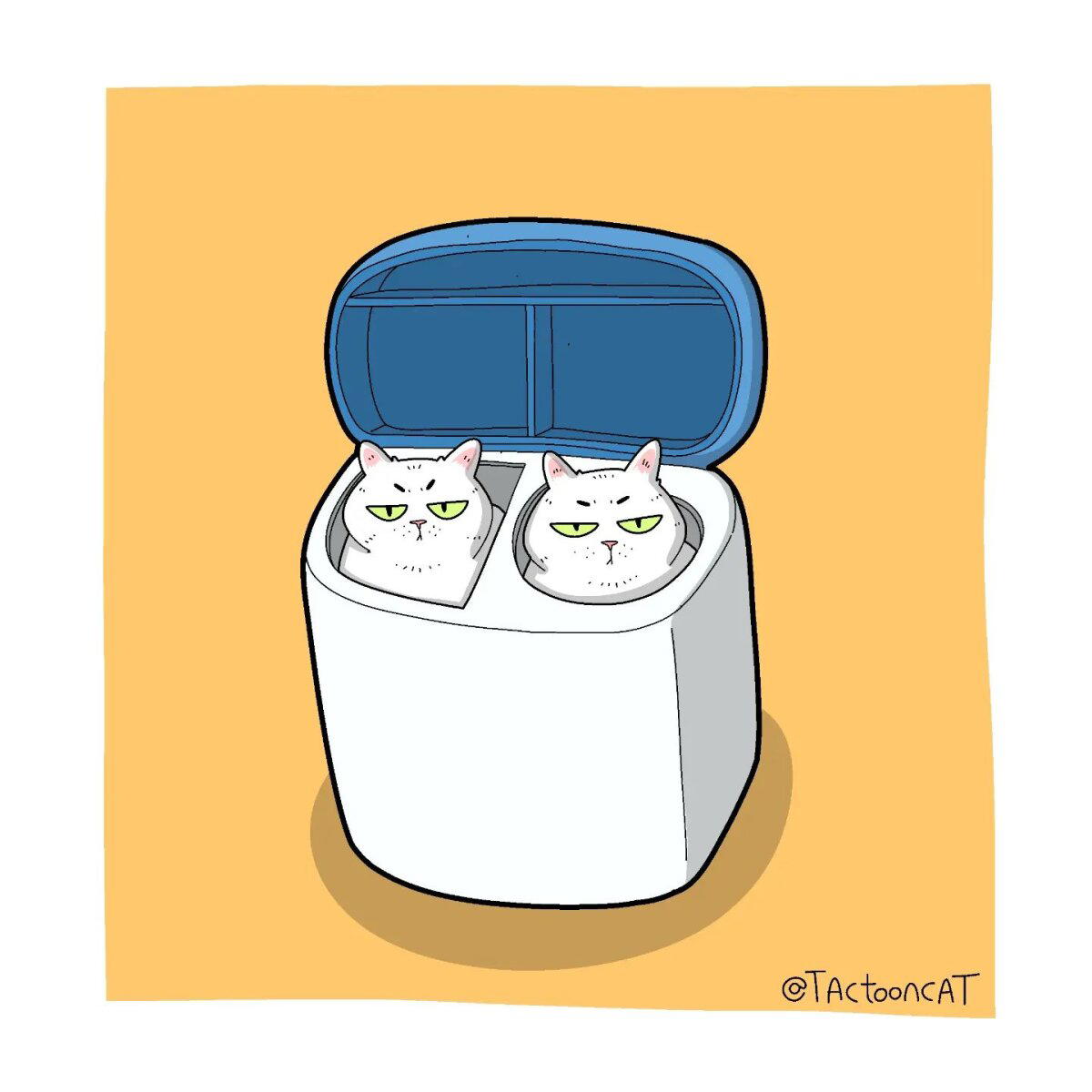Эиркотсы