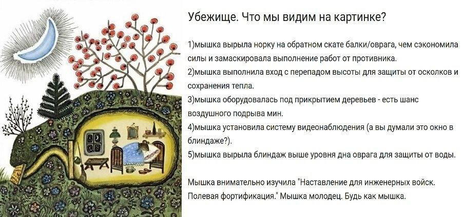 Полевое укрытие на примере иллюстраций в детской литературе