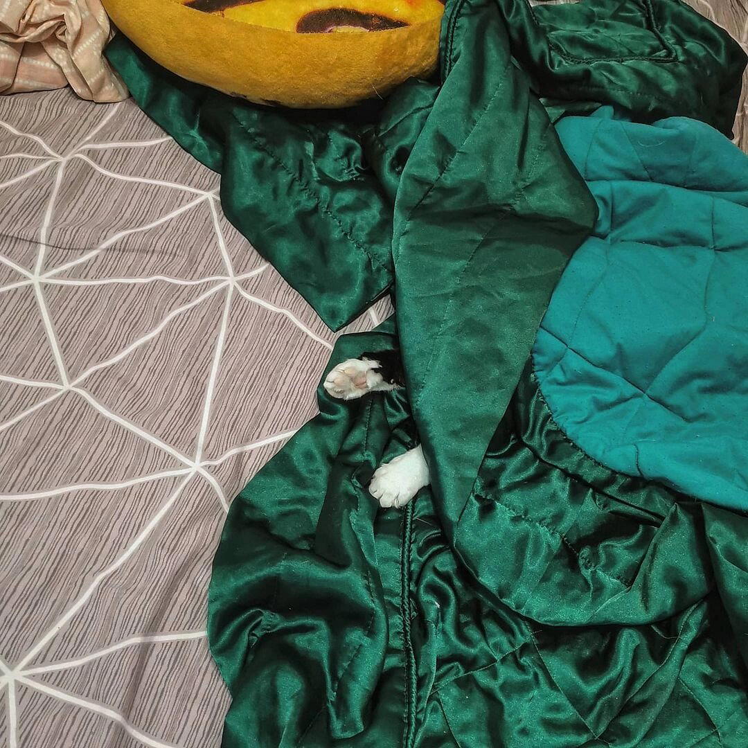 Терморегуляция