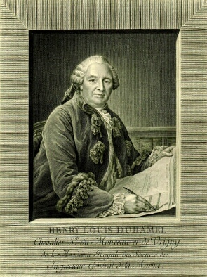 Великий француз