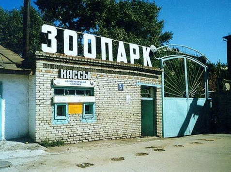 Зоопарк. Первые дни