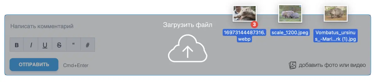 Новый релиз на Вомбате: скрытие просмотренного, бесконечный скролл ленты и новые комментарии с видео
