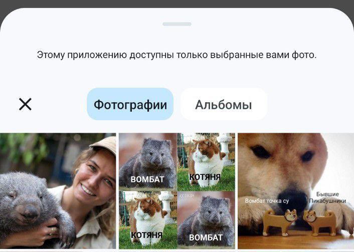 Небольшой жабный 🐸 релиз: выпадающий список при теге пользователя и другое