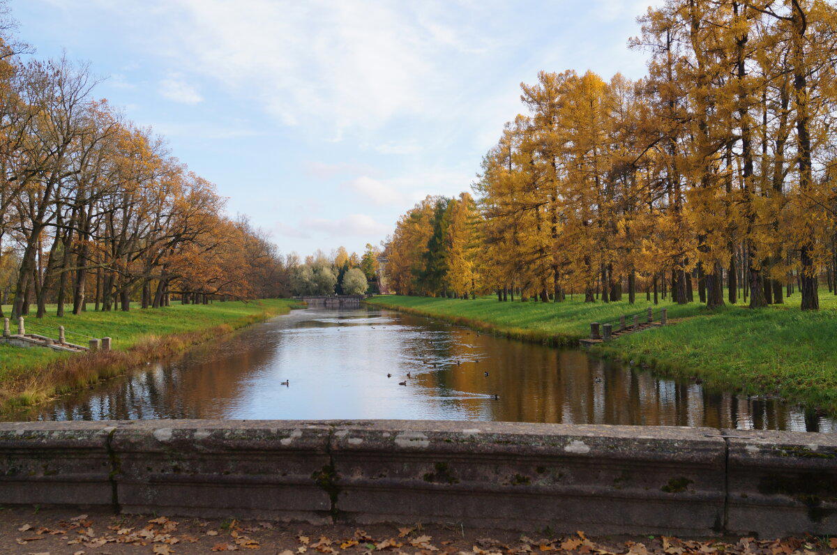 Александровский парк.