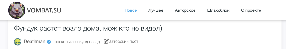 Понедельничный релиз: сворачивание длинных постов, счётчик фото и верхнее меню