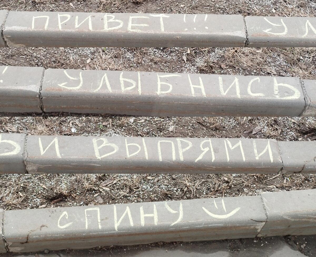 Чего только не увидишь на прогулке с собакой!