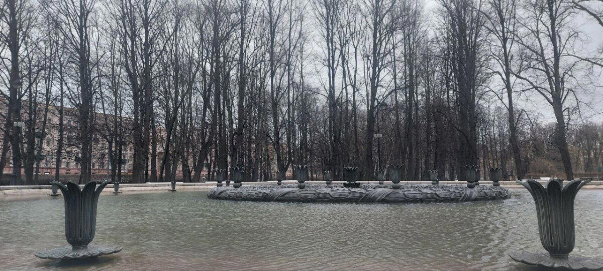 Пасмурное утро. Фото. Пейзажи