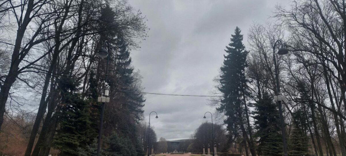 Пасмурное утро. Фото. Пейзажи