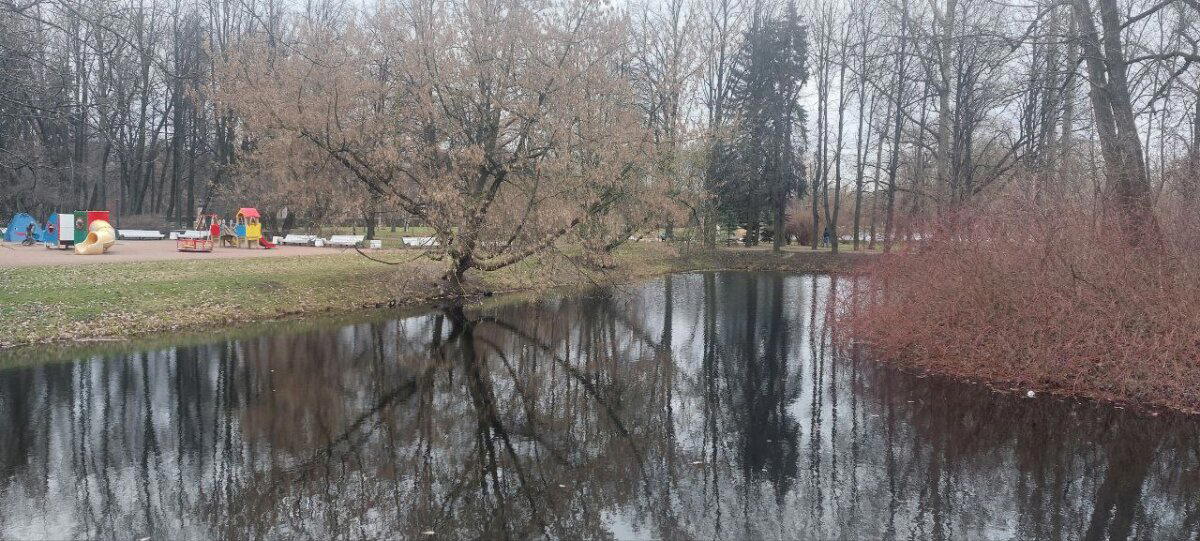 Пасмурное утро. Фото. Пейзажи